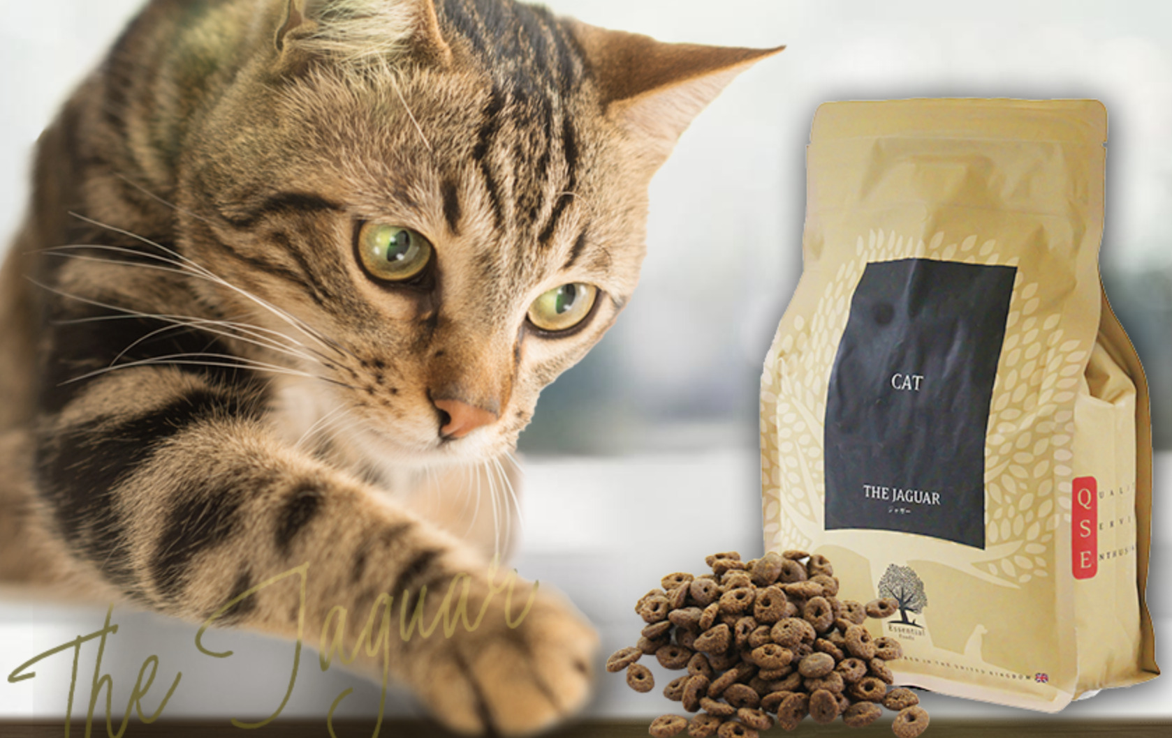 猫の生活アドバイザー監修】オールウェル(AllWell)キャットフードの 