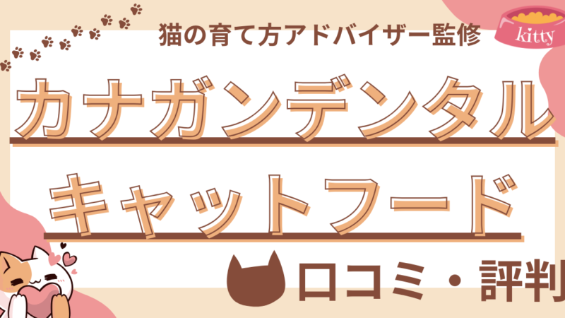 【猫の育て方アドバイザー監修】カナガンデンタルキャットフードの口コミや評判を徹底解説!使用感や評価もご紹介