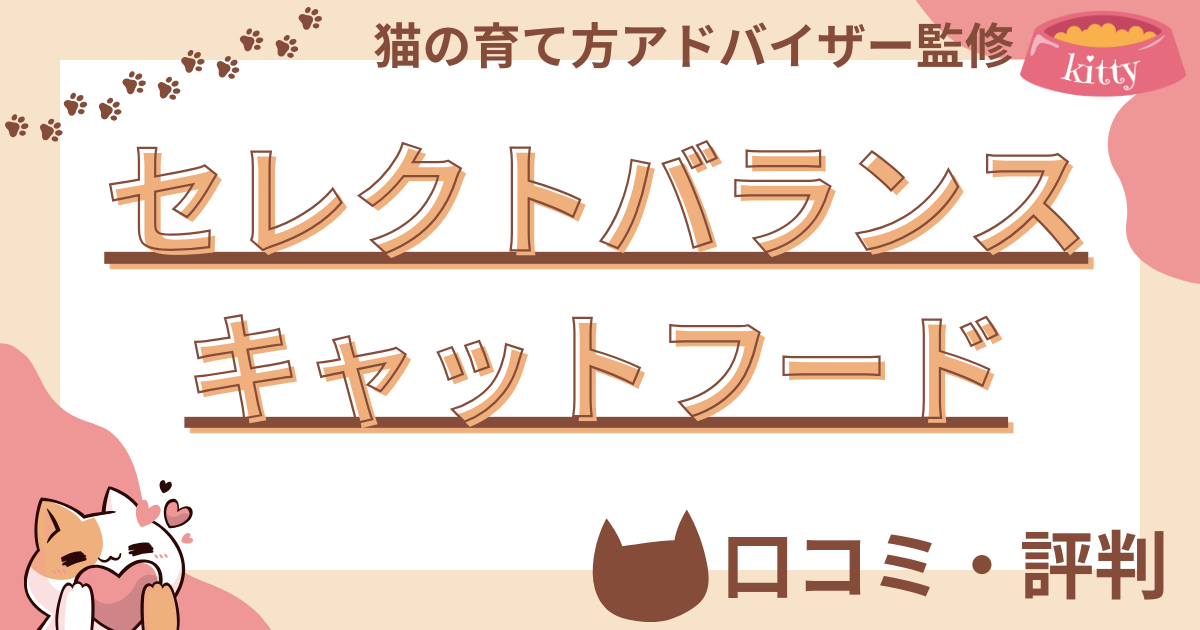 【猫の育て方アドバイザー監修】セレクトバランスキャットフードの口コミや評判を徹底解説！使用感や評価もご紹介
