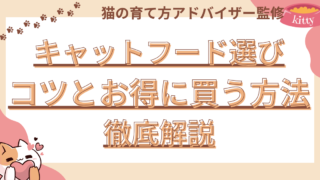 キャットフード選びのコツとお得に買う方法を徹底解説 