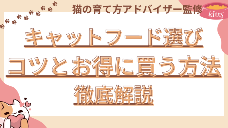 キャットフード選びのコツとお得に買う方法を徹底解説 