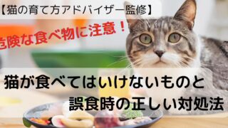 【猫の育て方アドバイザー監修】危険な食べ物に注意！猫が食べてはいけないものと誤食時の正しい対処法 