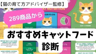 おすすめキャットフード診断 