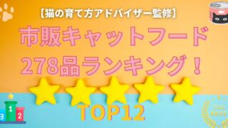 【2025最新】市販キャットフード278品を猫の育て方アドバイザーが徹底比較！本気でおすすめできるランキングTOP12 