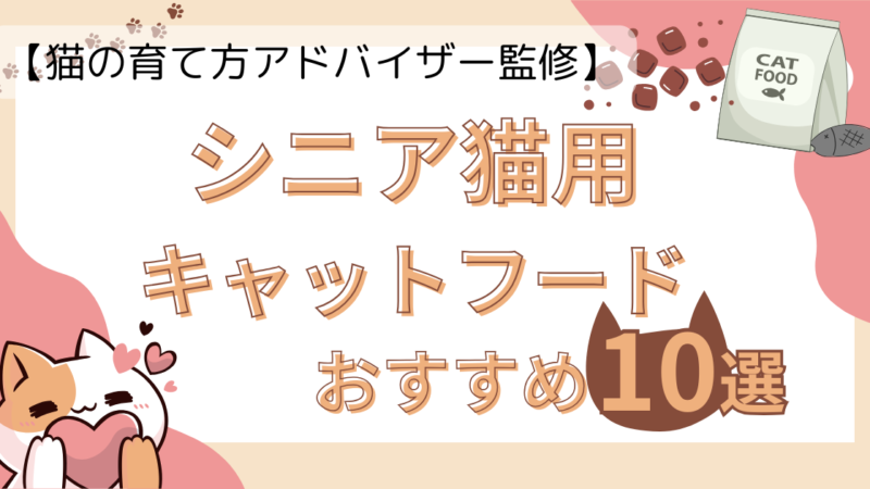 【猫の育て方アドバイザー監修】シニア猫におすすめのキャットフード10選！ 